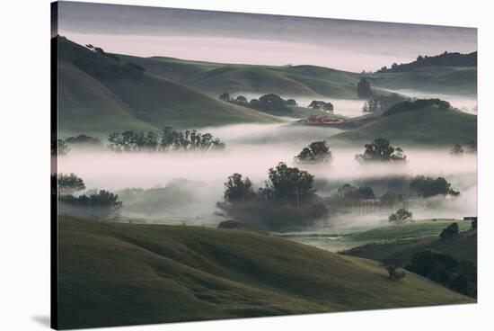 Dream Landscape, Tuscany in California, Petaluma Sonoma County-Vincent James-Stretched Canvas