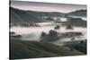 Dream Landscape, Tuscany in California, Petaluma Sonoma County-Vincent James-Stretched Canvas