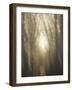 Dream Lane-Yvette Depaepe-Framed Photographic Print