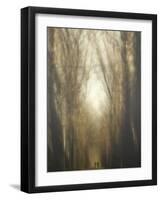 Dream Lane-Yvette Depaepe-Framed Photographic Print