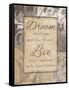 Dream Live-Jace Grey-Framed Stretched Canvas