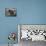 Dream Machine I-Tony Koukos-Mounted Giclee Print displayed on a wall