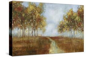 Dream Meadow I-Sloane Addison  -Stretched Canvas
