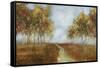 Dream Meadow I-Sloane Addison  -Framed Stretched Canvas