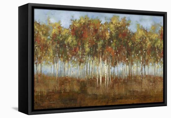 Dream Meadow II-Sloane Addison ?-Framed Stretched Canvas