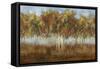 Dream Meadow II-Sloane Addison ?-Framed Stretched Canvas