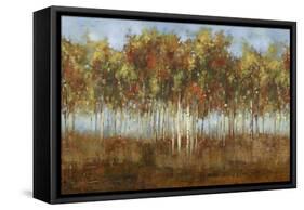 Dream Meadow II-Sloane Addison ?-Framed Stretched Canvas