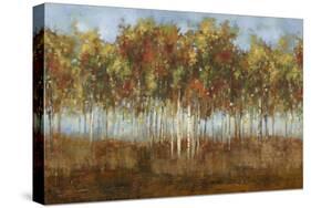 Dream Meadow II-Sloane Addison ?-Stretched Canvas