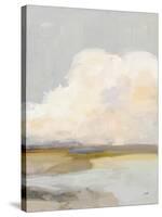 Dream of Clouds-Julia Purinton-Stretched Canvas