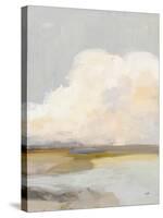 Dream of Clouds-Julia Purinton-Stretched Canvas
