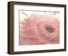 Dream of Floral 2-null-Framed Photographic Print