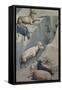 Dream of Joachim, Sheep-Giotto di Bondone-Framed Stretched Canvas