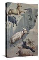 Dream of Joachim, Sheep-Giotto di Bondone-Stretched Canvas