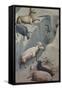 Dream of Joachim, Sheep-Giotto di Bondone-Framed Stretched Canvas
