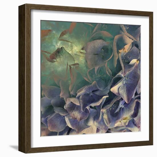 Dream of Petal-Viviane Fedieu Daniel-Framed Photographic Print