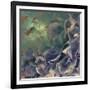 Dream of Petal-Viviane Fedieu Daniel-Framed Photographic Print