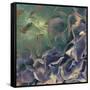 Dream of Petal-Viviane Fedieu Daniel-Framed Stretched Canvas