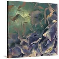 Dream of Petal-Viviane Fedieu Daniel-Stretched Canvas