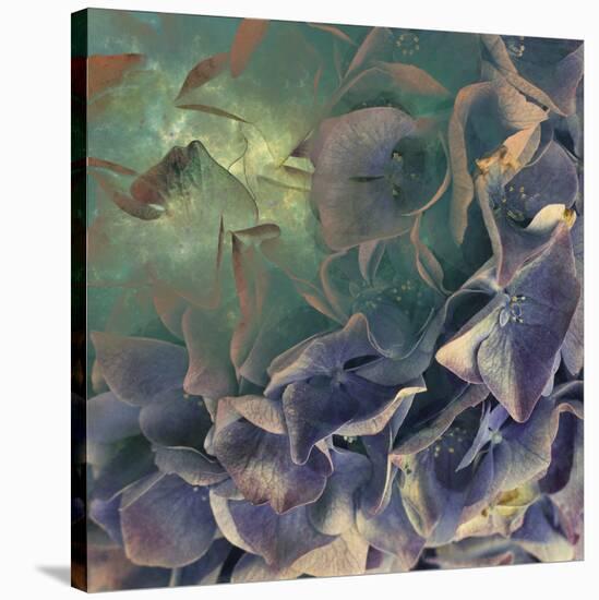 Dream of Petal-Viviane Fedieu Daniel-Stretched Canvas