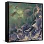 Dream of Petal-Viviane Fedieu Daniel-Framed Stretched Canvas