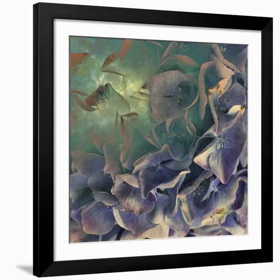 Dream of Petal-Viviane Fedieu Daniel-Framed Photographic Print