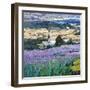 Dream of Provence-Malva-Framed Giclee Print