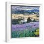 Dream of Provence-Malva-Framed Giclee Print