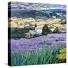 Dream of Provence-Malva-Stretched Canvas