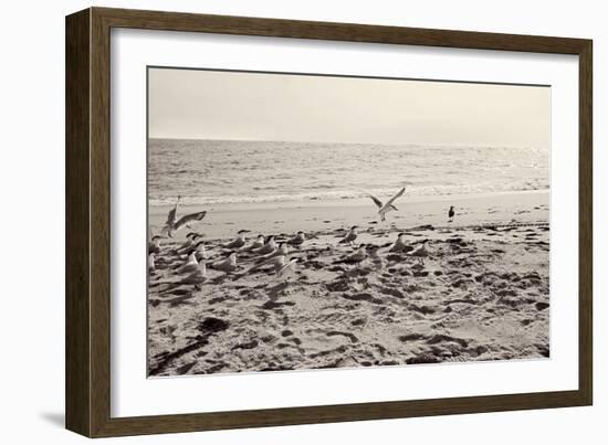 Dream of the Beach II-Susan Bryant-Framed Art Print