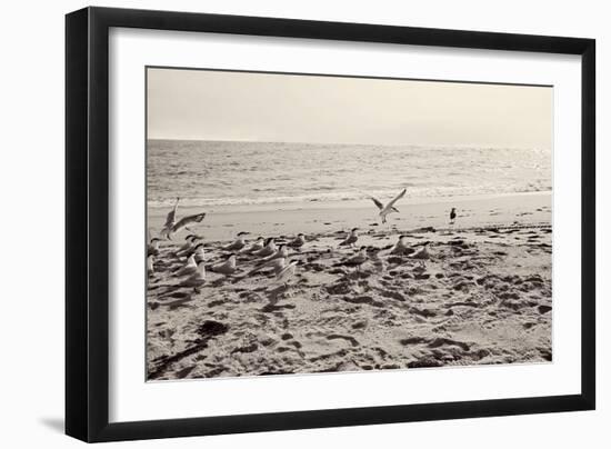 Dream of the Beach II-Susan Bryant-Framed Art Print