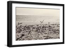 Dream of the Beach II-Susan Bryant-Framed Art Print