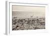 Dream of the Beach II-Susan Bryant-Framed Art Print