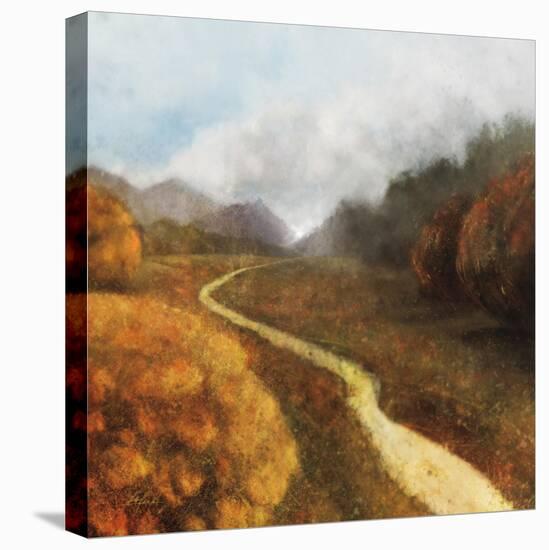 Dream Path 1-Ken Roko-Stretched Canvas