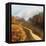 Dream Path 1-Ken Roko-Framed Stretched Canvas