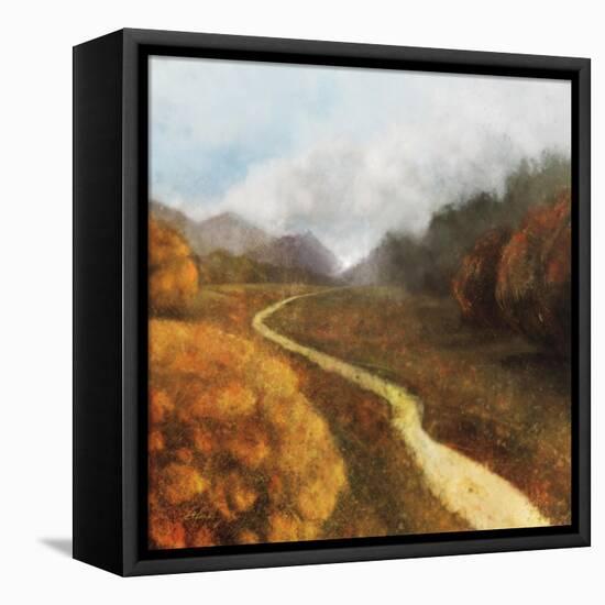 Dream Path 1-Ken Roko-Framed Stretched Canvas