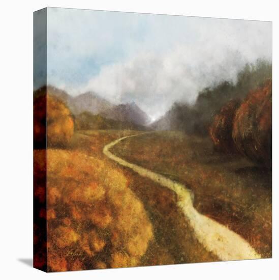 Dream Path 1-Ken Roko-Stretched Canvas