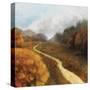 Dream Path 1-Ken Roko-Stretched Canvas