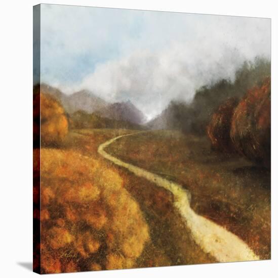 Dream Path 1-Ken Roko-Stretched Canvas