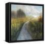 Dream Path 2-Ken Roko-Framed Stretched Canvas