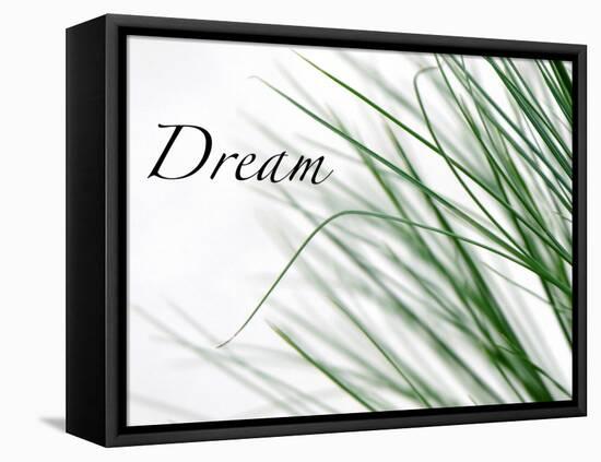 Dream: Reeds-Nicole Katano-Framed Stretched Canvas