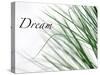 Dream: Reeds-Nicole Katano-Stretched Canvas