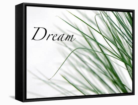 Dream: Reeds-Nicole Katano-Framed Stretched Canvas