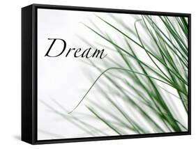 Dream: Reeds-Nicole Katano-Framed Stretched Canvas