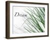 Dream: Reeds-Nicole Katano-Framed Photo