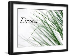 Dream: Reeds-Nicole Katano-Framed Photo