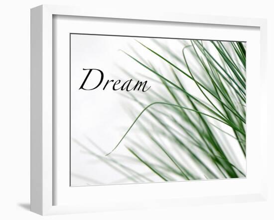 Dream: Reeds-Nicole Katano-Framed Photo