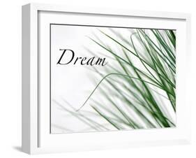 Dream: Reeds-Nicole Katano-Framed Photo