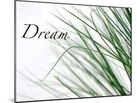 Dream: Reeds-Nicole Katano-Mounted Photo