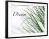 Dream: Reeds-Nicole Katano-Framed Photo