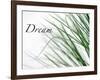 Dream: Reeds-Nicole Katano-Framed Photo